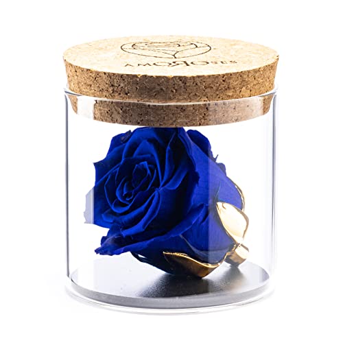 Amoroses Bijou - Rosa Eterna Estabilizada con Cáliz Chapado en Oro 24K en Frasco de Cristal | Idea de Regalo (Rosa Azul Real)