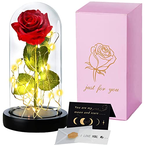 TWBEST Rosa Eterna,Kit de Rosas,Elegante Cúpula de Cristal con Base Pino Luces LED y 1 Tarjeta de Felicitación,Rosa Bella y Bestia,La Bella y La Bestia Rosa para San Valentín/Día de Madre/Boda