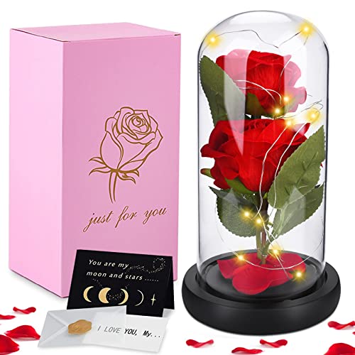 HEPAZ Rosa Eterna,Kit de Rosas,La Bella y La Bestia Rosa Encantada,Elegante Cúpula de Cristal con Base Pino Luces LED y 1 Tarjeta de Felicitación,San Valentín,Aniversario,Día de la Cumpleaños Mujer